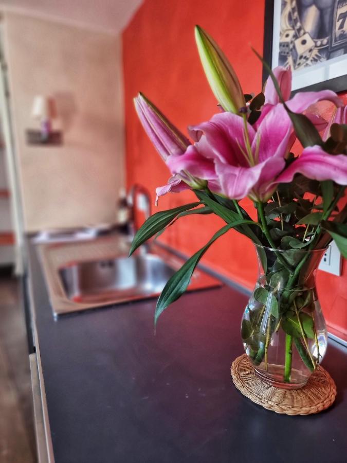 רומא Navona,Campo De Fiori Roof Top House מראה חיצוני תמונה